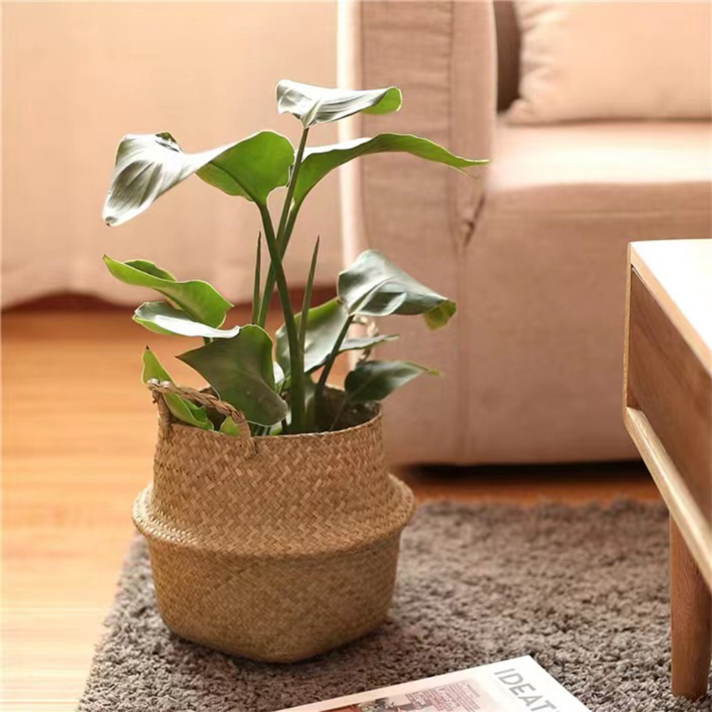 Cesta de plantas com alças ces - Rattan Plant Basket avaliação e preço